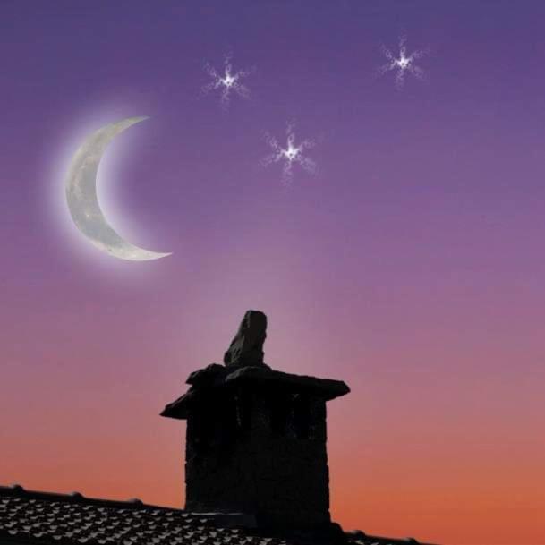 B&B Luna E Stelle Premilcuore Exteriér fotografie