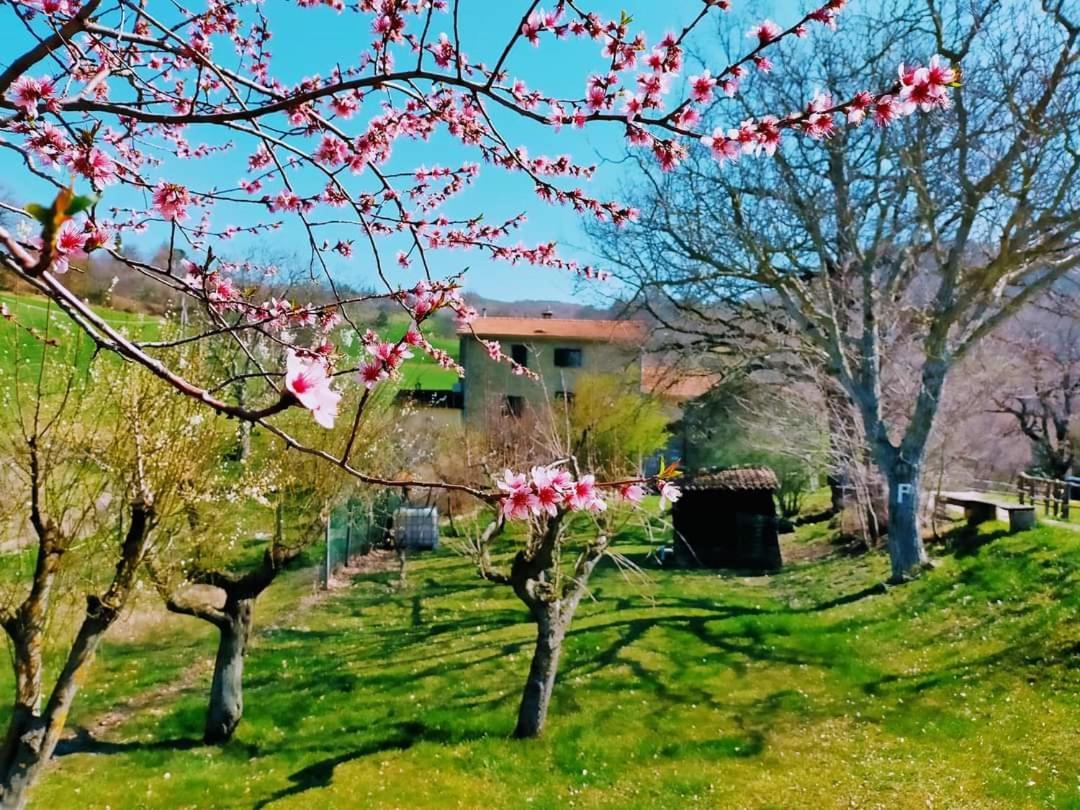 B&B Luna E Stelle Premilcuore Exteriér fotografie