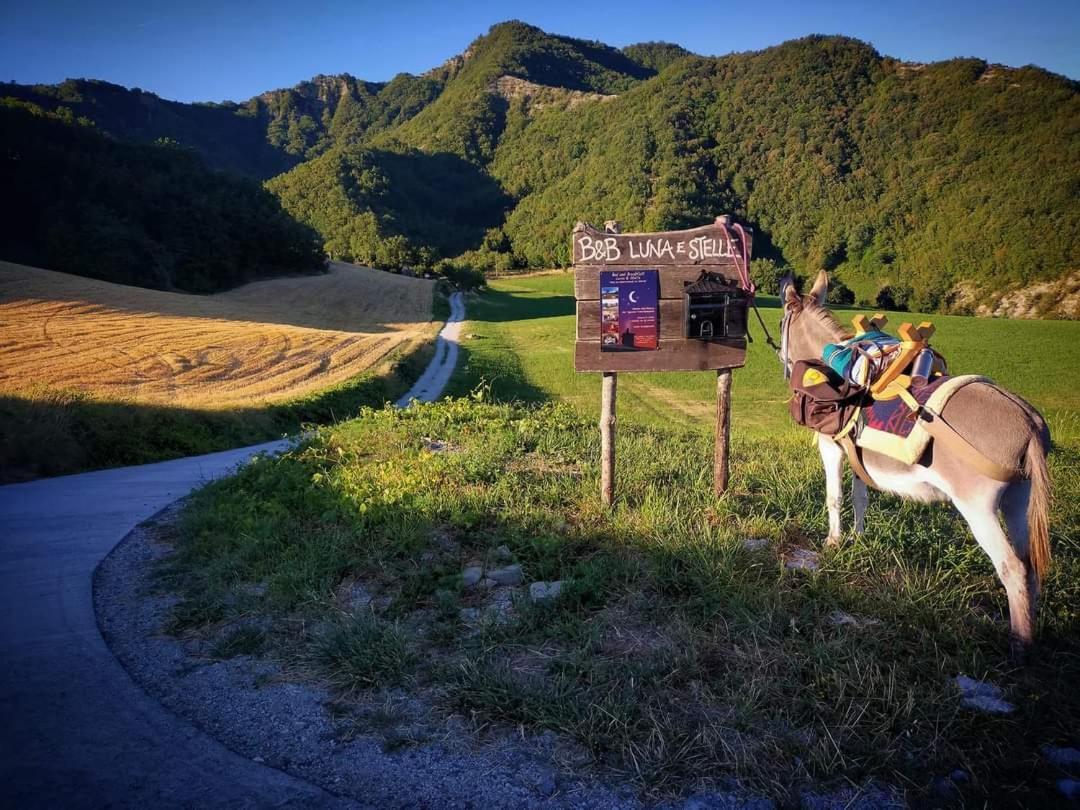 B&B Luna E Stelle Premilcuore Exteriér fotografie
