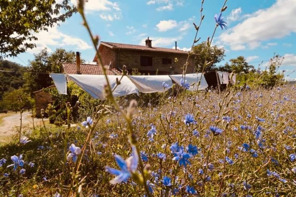 B&B Luna E Stelle Premilcuore Exteriér fotografie